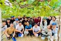 Để thành công trong ngành Bảo vệ thực vật, sinh viên cần những tố chất nào?