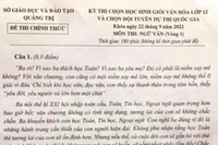 Đề thi học sinh giỏi Ngữ văn tỉnh Quảng Trị được giáo viên đánh giá cao