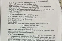 Làm gì để ngữ liệu đề kiểm tra Ngữ văn bớt "sạn"?