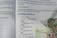 Giáo viên mong giảm tải một số phạm vi kiến thức chương trình môn Ngữ văn 11