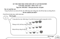 Vì sao đề thi học sinh giỏi môn Ngữ văn TPHCM được nhiều giáo viên tâm đắc?