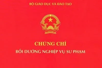 Không có chứng chỉ bồi dưỡng nghiệp vụ sư phạm, Phó hiệu trưởng xuống hạng III
