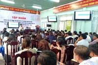 Tổ trưởng chuyên môn được giảm 3 tiết/tuần nhưng đảm nhận quá nhiều công việc