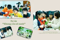 Trường phổ thông đa dạng hoạt động để hiện thực "xanh hóa" môi trường học đường