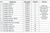 Chỉ tiêu đào tạo sư phạm của nhiều trường đại học địa phương liên tục giảm