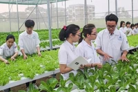 Kiến nghị gỡ khó trong đào tạo, sử dụng lao động ngành nông lâm nghiệp, thủy sản