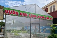 Độc đáo mô hình “Vườn rau công nghệ của bé”