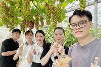 Đề xuất đưa giảng dạy, tư vấn, hỗ trợ SV khởi nghiệp vào nhiệm vụ của giảng viên