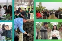 Không ít người cho rằng học Kinh tế phát triển để làm việc trong khu vực công