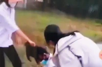 Để học sinh đánh nhau, Ban giám hiệu trường Triệu Vân bị xem xét trách nhiệm