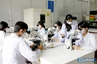 Trường đại học mong sớm có hướng dẫn chi tiết cách xác định rủi ro trong NCKH