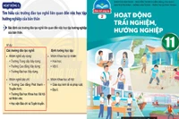 Chuyên gia nêu sai nghiêm trọng ở cuốn HĐTN, hướng nghiệp bộ Chân trời sáng tạo