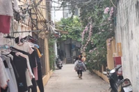 Giáo viên tan trường là đến chỗ dạy thêm ngoài trường