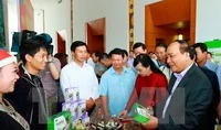3 định hướng phát triển ngành dược liệu Việt Nam