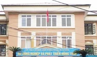 Bổ nhiệm "thừa" cán bộ: Thủ tướng chỉ đạo kỷ luật, miễn nhiệm