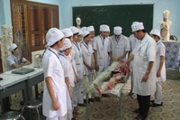 "Người trong cuộc" chia sẻ 6 thuận lợi khi trường cao đẳng y tế trực thuộc UBND