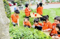 Bắc Giang: Nghiêm cấm dạy thêm, học thêm, dạy trước chương trình trong hè