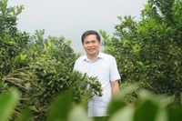 Tuyển trình độ CĐ: Sẽ không còn cảnh GV ở nhà làm nông hoặc làm trái ngành