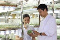 Giảng viên phải giảm thu nhập khi trường đại học tự chủ tài chính