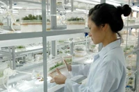 Hình thành mạng lưới tổ chức khoa học công nghệ công lập theo hướng mở