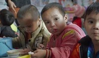Xem và nếm bữa cơm trưa mặn chát của trẻ mầm non miền núi
