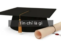 Vì sao Hội nghị hiệu trưởng năm 1987 đặt vấn đề phải chuyển sang hệ tín chỉ? 