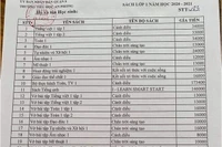 “Ký sinh trùng” giáo dục