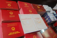 Đại học Đông Đô mua phôi (để in bằng giả*) từ Văn phòng Bộ theo quy định nào?