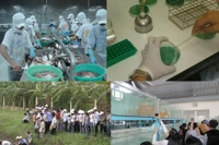 Sinh viên ngành Nuôi trồng thủy sản cần thành thạo tiếng Anh nếu muốn tiến xa
