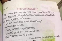 Bộ Giáo dục đề nghị hội đồng thẩm định rà soát lại nội dung sách giáo khoa lớp 1