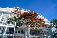 Mọi thành công của Trường Đại học Tôn Đức Thắng đều đến từ cơ chế tự chủ