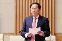 Đề nghị Bộ Chính trị kỷ luật Bộ trưởng Bộ Ngoại giao Bùi Thanh Sơn