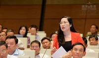 Đại biểu Quốc hội quá bức xúc, không thể xem hết clip nữ sinh đánh nhau!