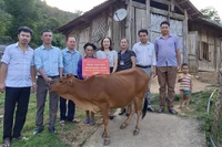 Buộc giáo viên ủng hộ tiền giúp dân xóa nghèo có phải cách làm hay?