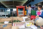 Giáo viên tư thục "nhà quê ra tỉnh" lao đao mùa dịch bệnh 