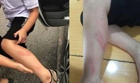 Giáo viên đánh học sinh trong giờ kiểm tra, hiệu trưởng bị kiểm điểm trách nhiệm