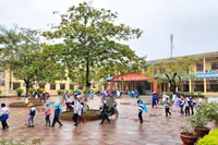 Phụ huynh phản ánh lạm thu, Hiệu trưởng trường Tân Viên bác bỏ