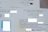 Học chứng chỉ CDNN theo hạng cấp sau 30/6/2022, GV ngậm ngùi mất tiền oan?