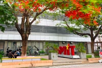 PTIT công bố điểm chuẩn năm 2023, ngành Công nghệ thông tin cao nhất 26,59 điểm