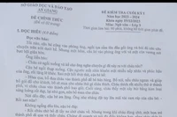 Chọn ngữ liệu kiểm tra Ngữ văn ngoài sách giáo khoa, giáo viên có đang 'tự bơi'?
