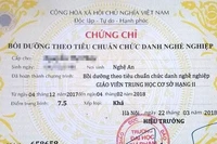 Bổ nhiệm xếp lương theo Thông tư 08, GV bắt buộc phải có chứng chỉ CDNN không?
