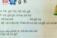 Thầy trò đánh vật với Tiếng Việt 1 Cánh Diều, trách nhiệm hội đồng thẩm định đâu