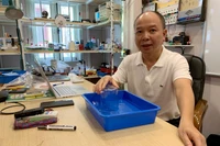 “Giảm tải" như Công văn 4040, kiến thức không còn liền mạch