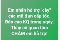 Những giáo viên nào hay thuê người học thay bồi dưỡng chương trình mới?
