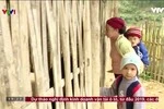 Bỏ Ban phụ huynh, Hiệu trưởng vẫn còn lòng tham, lạm thu có hết không?