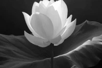 Nguyên Trưởng ban Tổ chức Trung ương Lê Phước Thọ từ trần