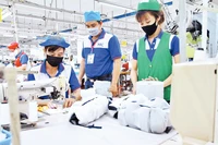 Hơn 12,5 triệu lao động được hưởng hỗ trợ từ Quỹ bảo hiểm thất nghiệp