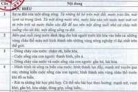 Giáo viên mổ xẻ sự vô lí trong đáp án môn Ngữ văn của Bộ Giáo dục