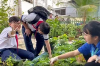 Học sinh, giáo viên chung tay tạo không gian xanh xây dựng trường học hạnh phúc