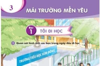 Phản biện tác giả Nguyễn Trọng Bình về văn bản "Tôi đi học" trong sách giáo khoa
